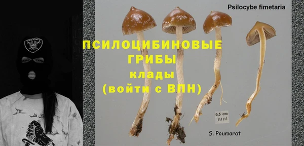 дживик Нея