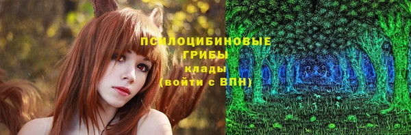 дживик Нея