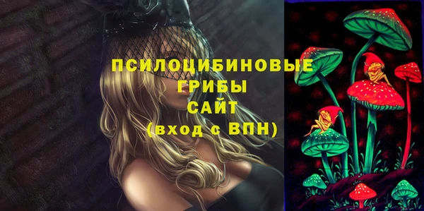 дживик Нея