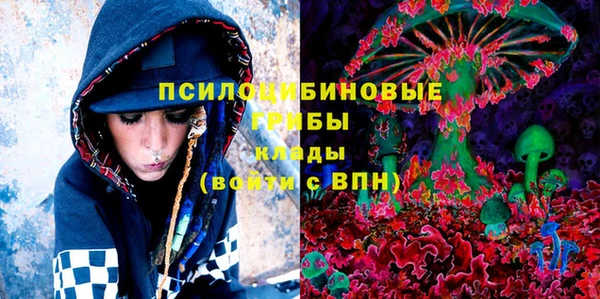 дживик Нея