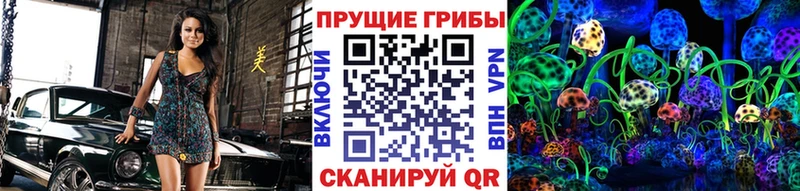 где найти наркотики  Павловский Посад  Галлюциногенные грибы мицелий 