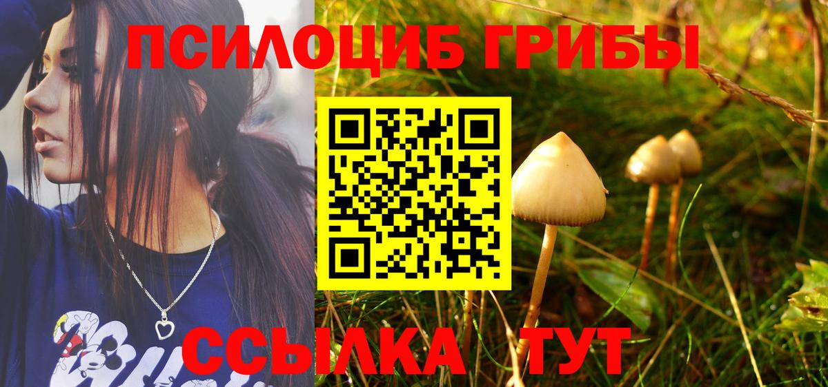 Галлюциногенные грибы Psilocybine cubensis  как найти наркотики  Павловский Посад  Галлюциногенные грибы Psilocybine cubensis  Вход с VPN 