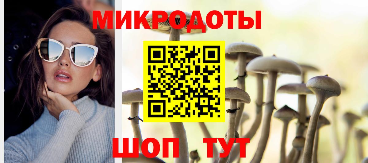 Галлюциногенные грибы Psilocybe Павловский Посад